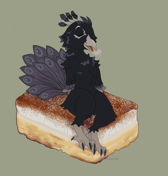 A peafowl named Rhiannon perched atop a tiramisu slice